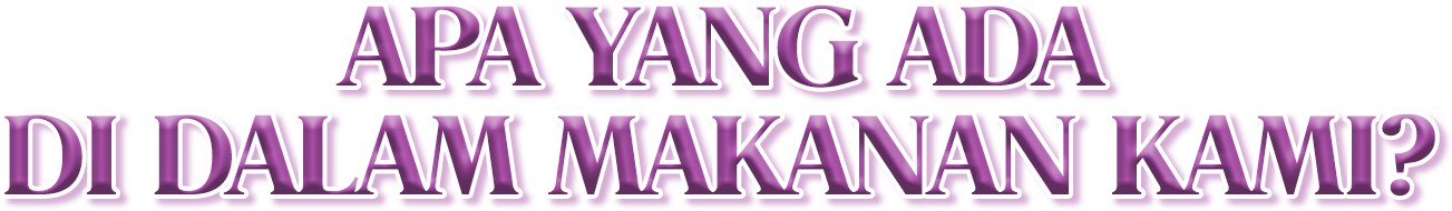 di Dalam Makanan Kami_